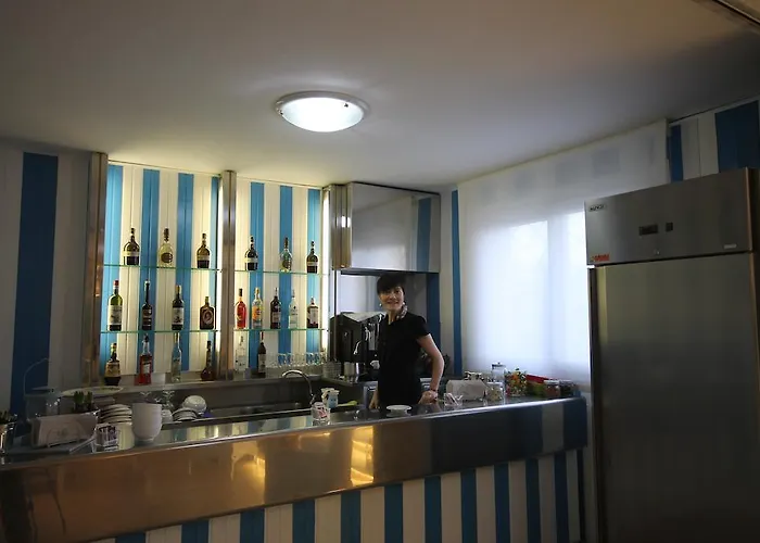 酒店 丽城海滩酒店 里米尼